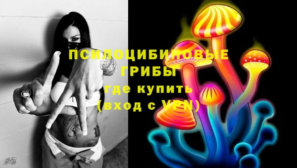 индика Елабуга