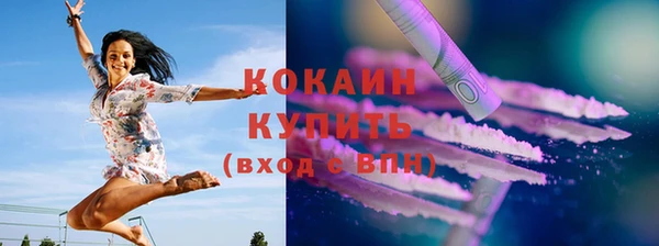 индика Елабуга