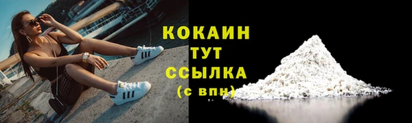 индика Елабуга