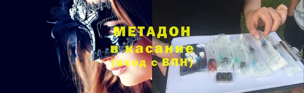 индика Елабуга