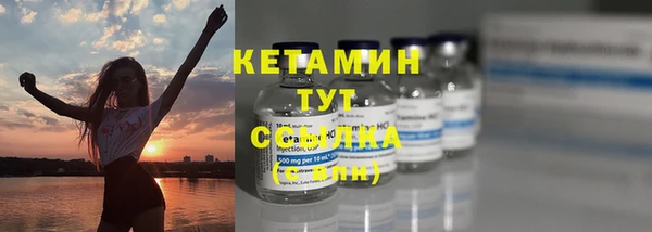 индика Елабуга