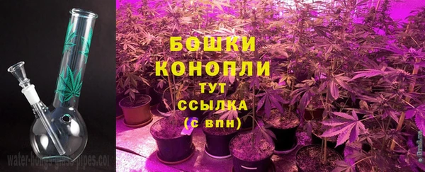 2c-b Елизово