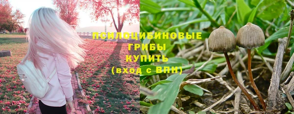 индика Елабуга