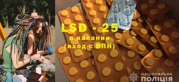 индика Елабуга