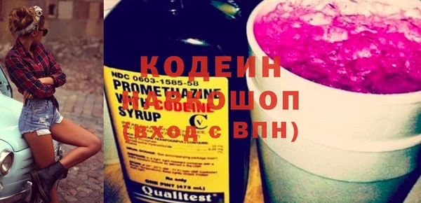 индика Елабуга