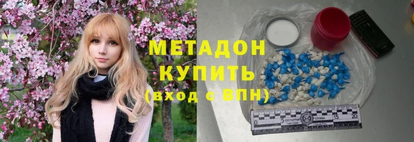 индика Елабуга