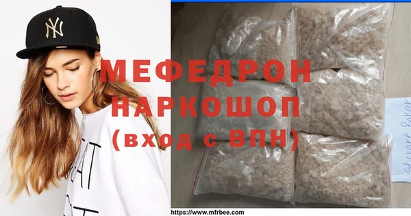 индика Елабуга