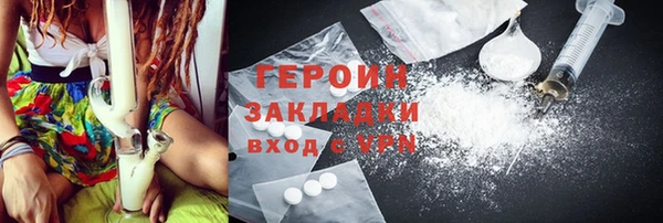 индика Елабуга