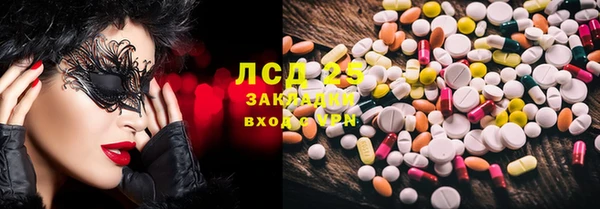 индика Елабуга