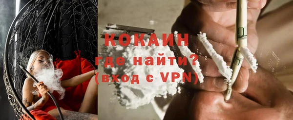 индика Елабуга