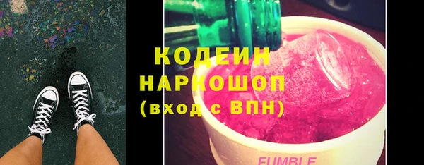 индика Елабуга