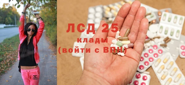 индика Елабуга