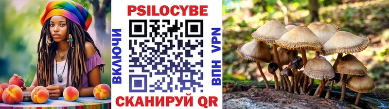 Галлюциногенные грибы ЛСД  магазин продажи наркотиков  Змеиногорск 