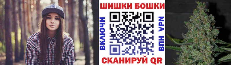 продажа наркотиков  Змеиногорск  Канабис сатива 